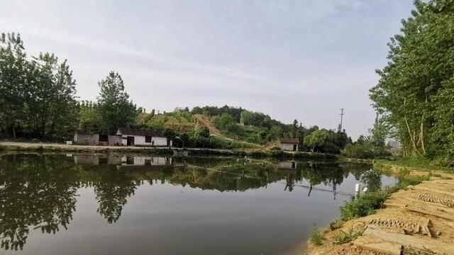 饵料|山奈和丁香才是黄金搭档，制作钓鱼药酒简单省钱，关键还好用