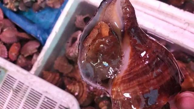 |吃海螺，尾部是黄还是屎？能不能吃？弄明白再决定不吃亏