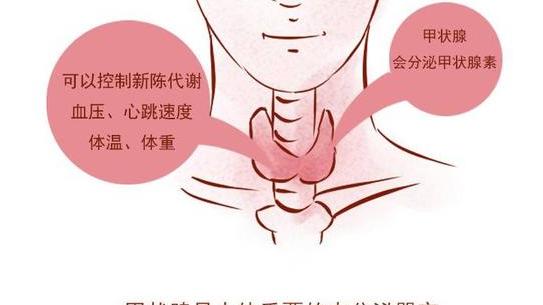 医生胡侃|甲状腺癌的“祸首”已发现，爱吃这食物的人，最后定期检查甲状腺