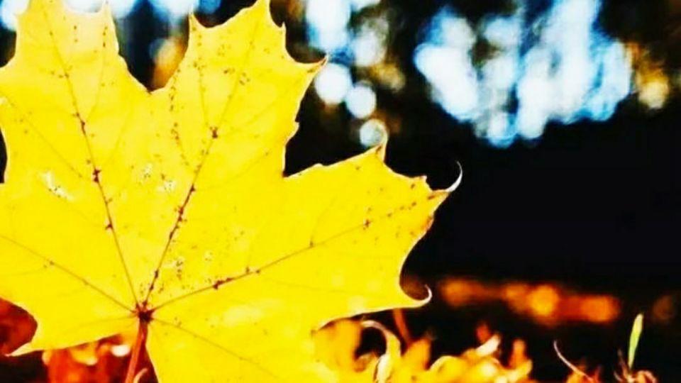 看书之家|随笔：述一段感叹，也论一段现实和人生