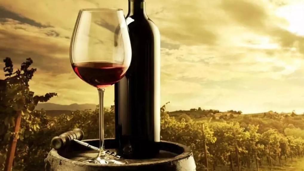 面包|喝红酒，为何只倒1/3？好红酒该怎么选？一文让你挑到“心仪酒”