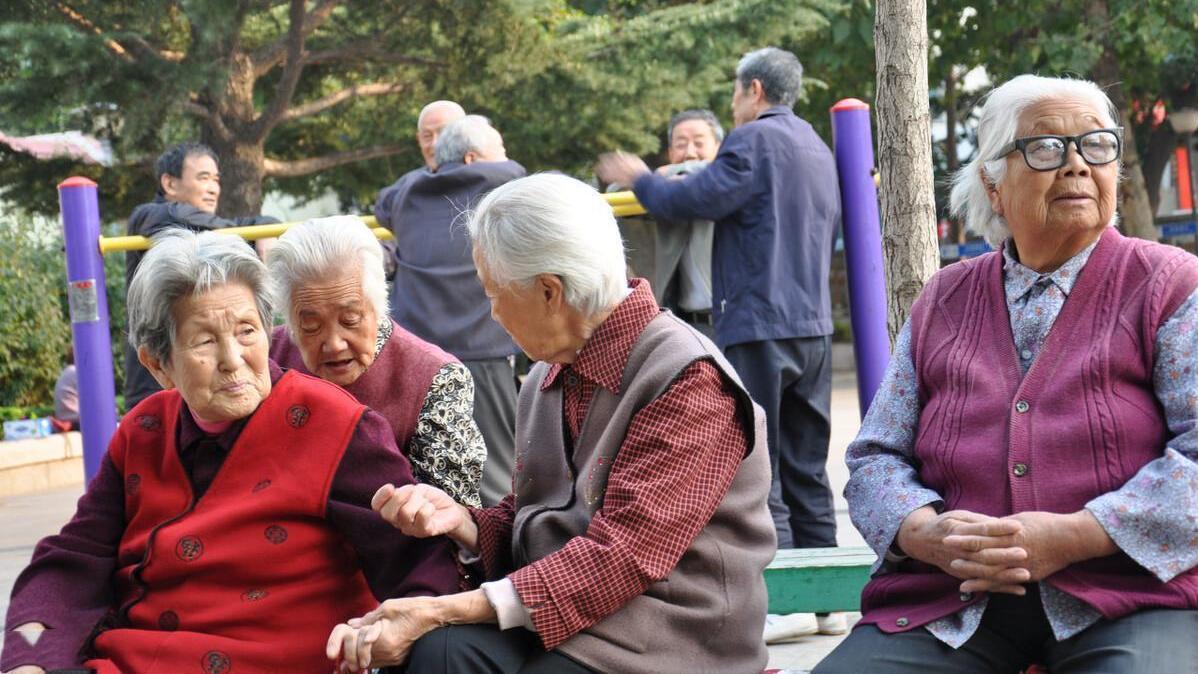 小鹿与驴|“人到老年，最靠不住的就是老伴”，62岁老人说出了心里话