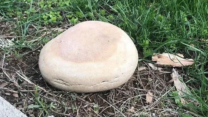|14张图片测试你是不是吃货，超过一半看错，肯定是个吃货