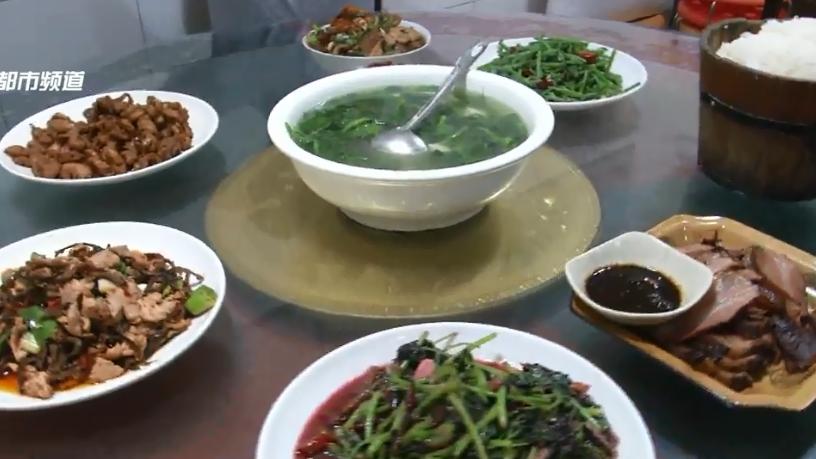 鸡蛋|滇池边的格桑花盛放中