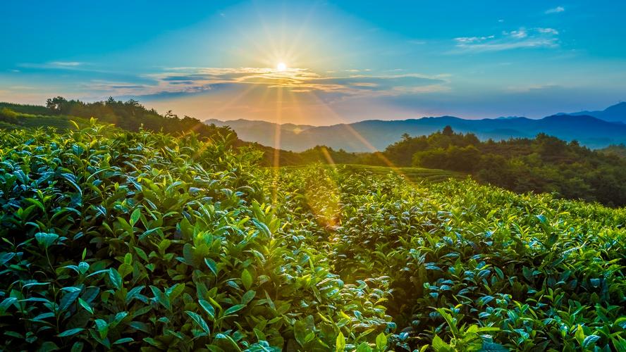 那年的星座|10天内3生肖横财如雨，事业一马平川，顺利大吉