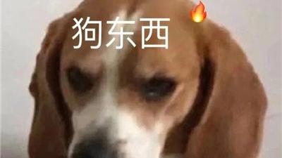 桉月|表情包：让孤独陪我过夜