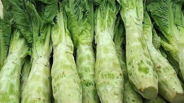 羊肉|莴笋不要再炒着吃，教你个特色新吃法，清脆爽口，越吃越过瘾