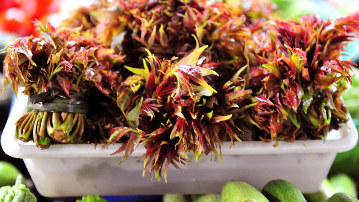 田螺|“难吃”的5种菜，一个比一个难吃，尤其最后一种，好多人吃不惯