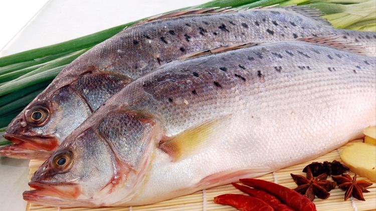 一网200万！宁波渔民捕获4万斤超大米鱼，大丰收还是“绝户网”？