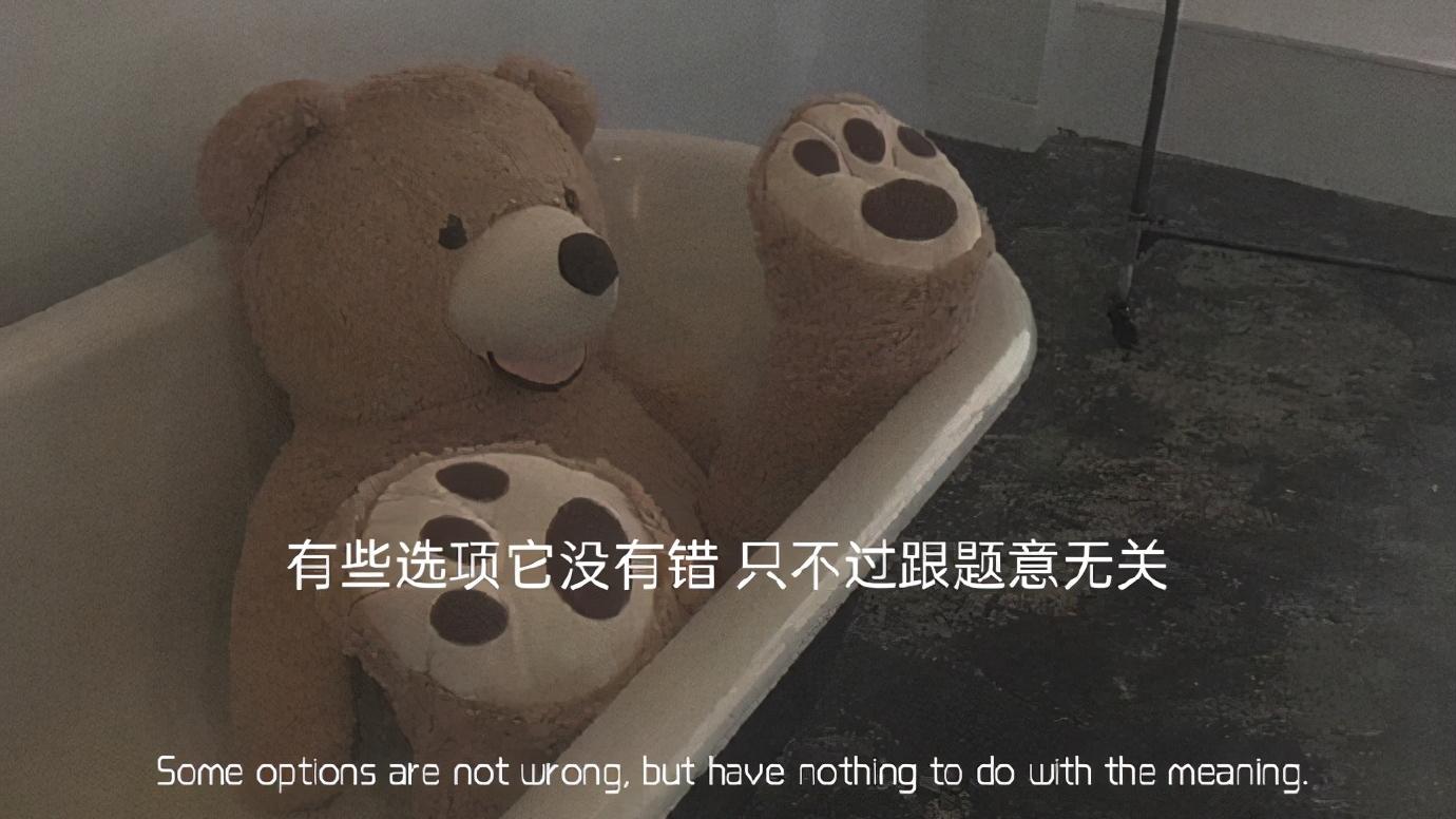 滕小七|我想要的从来不是选择，更是双向奔赴的欢喜