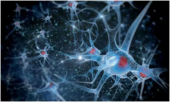 领蔚生物|干细胞是肺纤维化的“清道夫”，是肺损伤患者的福音