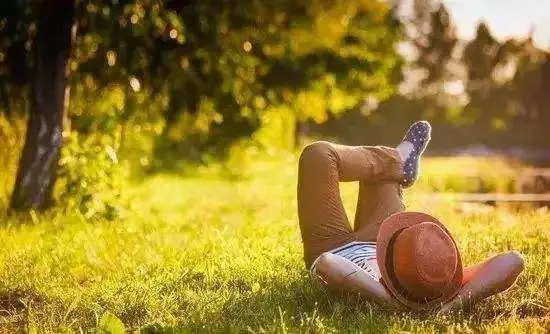 |曬太陽自由比美食自由，更高級！