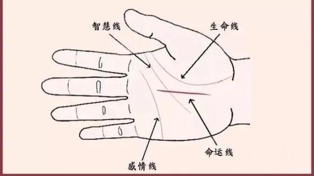 如果你手相有这些变化，预示你将要发财了！