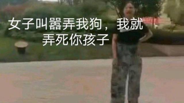 华夏小洋哥|女子遛狗口出狂言: “我的狗比你的孩子值钱”，仔细一查，真有钱