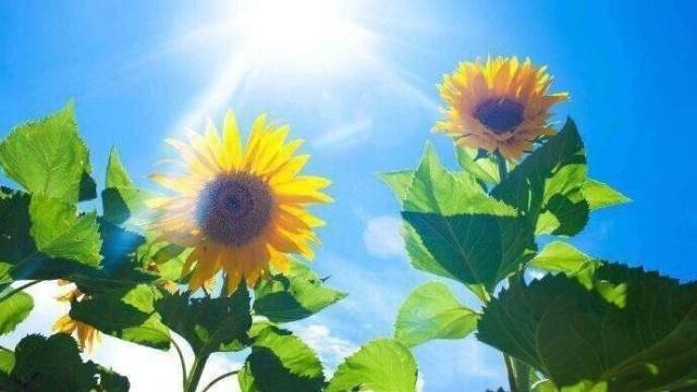 魅文字 充满能量和希望的早安心语，温暖美好，沁人心脾！