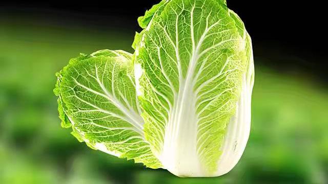 大白菜|你们对大白菜很挑剔吗？  东北那边白菜才几毛钱一斤，太便宜了