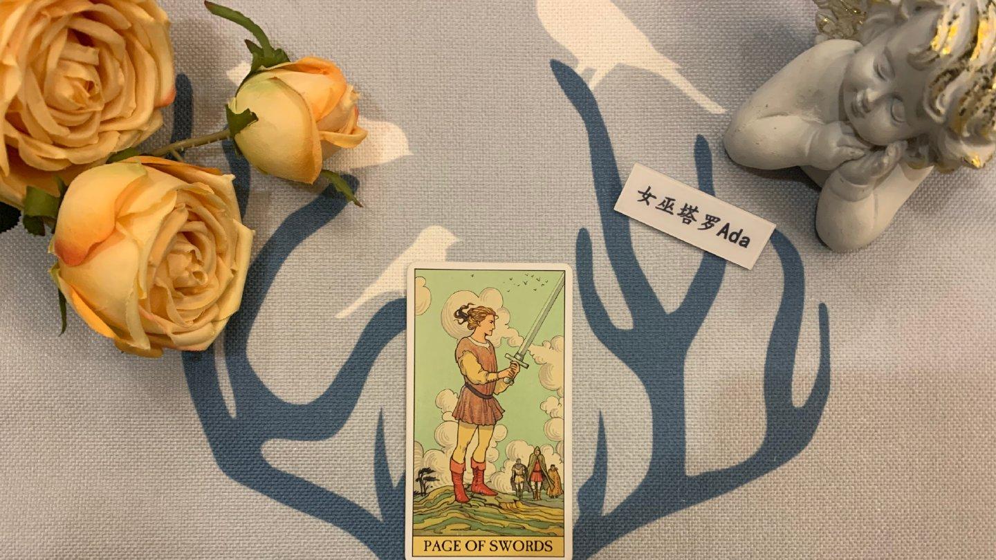 女巫塔罗Ada 女巫塔罗，双子座2021年11月感情运势：双向奔赴，命有定数佳偶天成