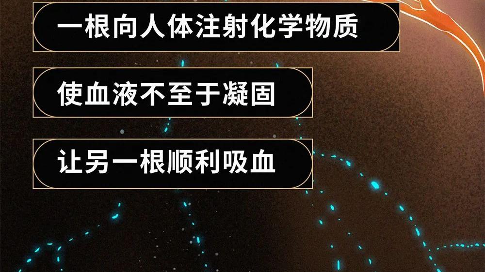 视觉志|因为「她」，我给了自己一巴掌。