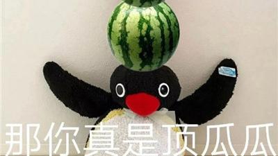 桉月|表情包： 全网无前任有也不承认