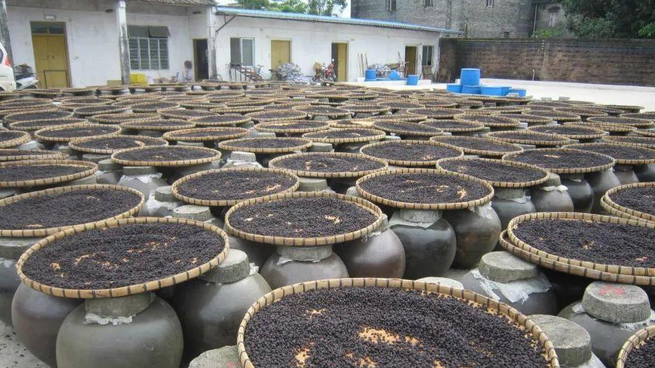 豆豉|传统做豆豉离不开的鸢尾，被贵州人用出了专属名字，如今很少见