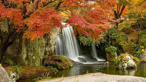 陶先生，很高兴依然是你（上）