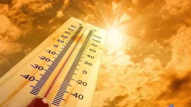 骆驼 2021年地球太热了？科威特温度超70℃，阿尔及利亚一只骆驼热晕