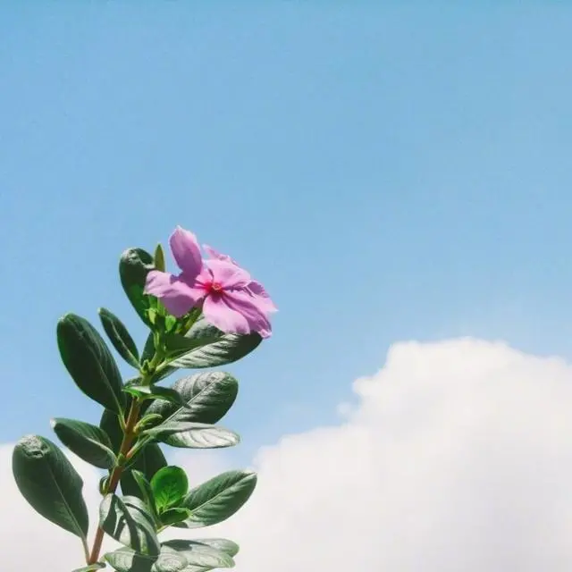 情感语录生活感悟|一句暖心的早安心语，元气满满，每一句都很棒！