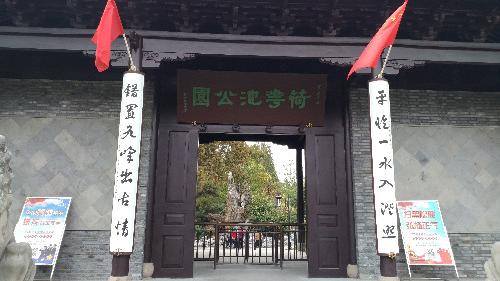 扬州小兔子|这个夏天，你注定寂寞