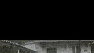 帅哥|“把狗子放奶奶家一个月，这放荡不羁的发型，真豪放啊！”哈哈哈