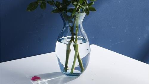 生肖|灵签占卜：你会把哪只花瓶放在客厅？测你和Ta是否有缘无分！