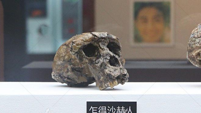 科学家 西伯利亚山洞发现新人种：人类进化史或被改写