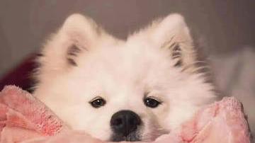 桉月|表情包：沙雕表情又更新了