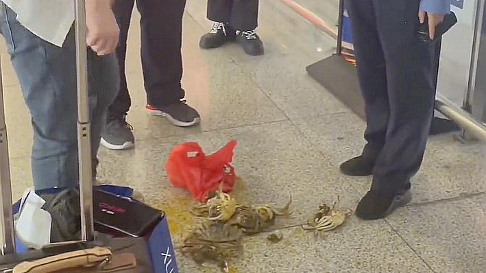 高铁 浙江男子带大闸蟹坐高铁，被拒后猛踩几脚并反问：“还有那个在动啊？