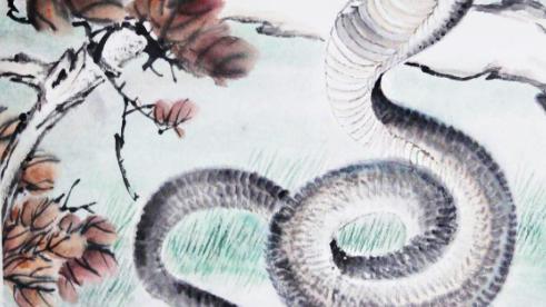 星座控網(wǎng)|屬猴人和啥生肖結(jié)婚，真正找對了人，有緣有分，來日同享富裕