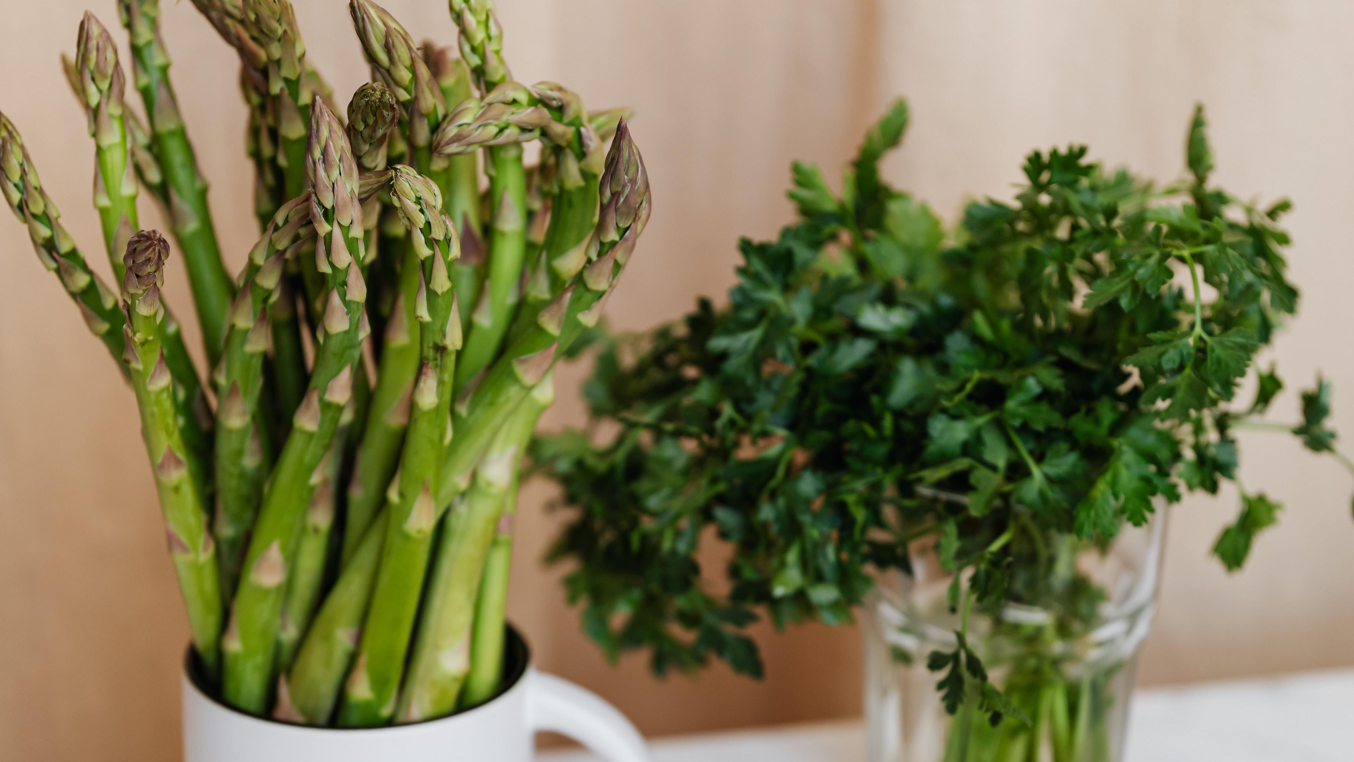 鹿晗 减肥｜越减越肥｜学会这几招，减肥不反弹