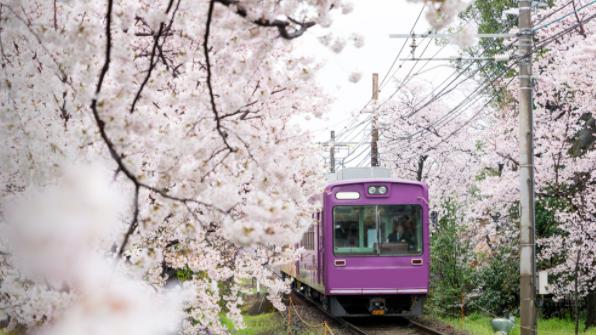 为什么建议摄影初学者在拍摄前先学习颜色搭配