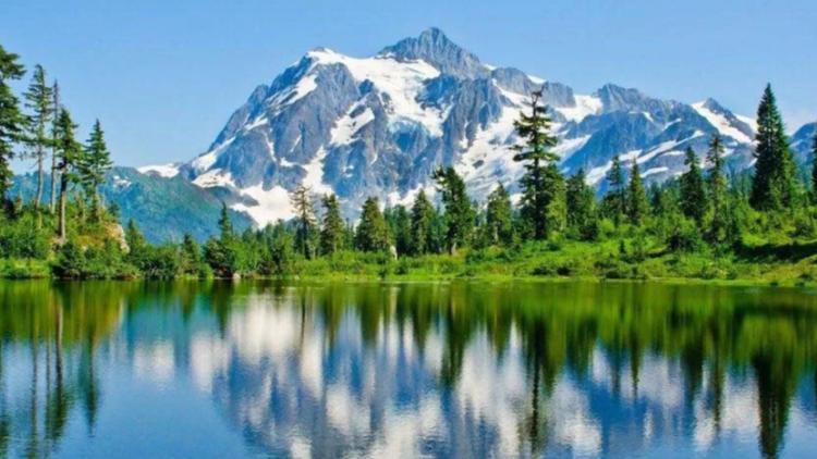 诚然情感之事|盲目投资，必然损失惨重的八字