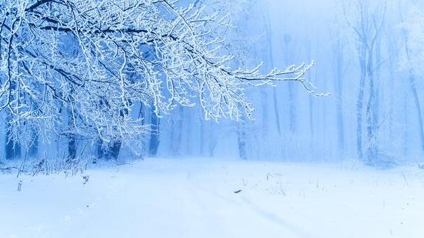 高粱|喝了酱香酒第二天为什么不能打嗝？带你揭露酱香酒的“猫腻”