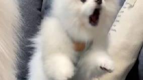 桉月|表情包：搞怪头像，喜欢抱走