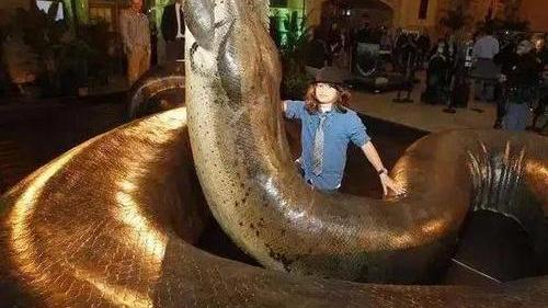 制服 地球上最长的蛇是什么？要制服这么大的蛇至少需要10个壮年男子