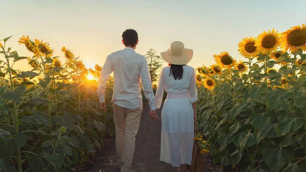 白衣梧桐|中年夫妻要怎么做，才不会渐行渐远