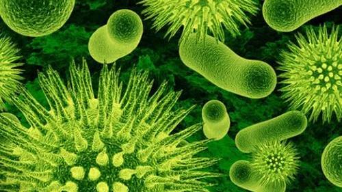 木卫二 陈根：细菌耐药性，还可能传染？