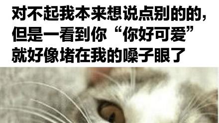 桉月|表情包：你今天也很可爱
