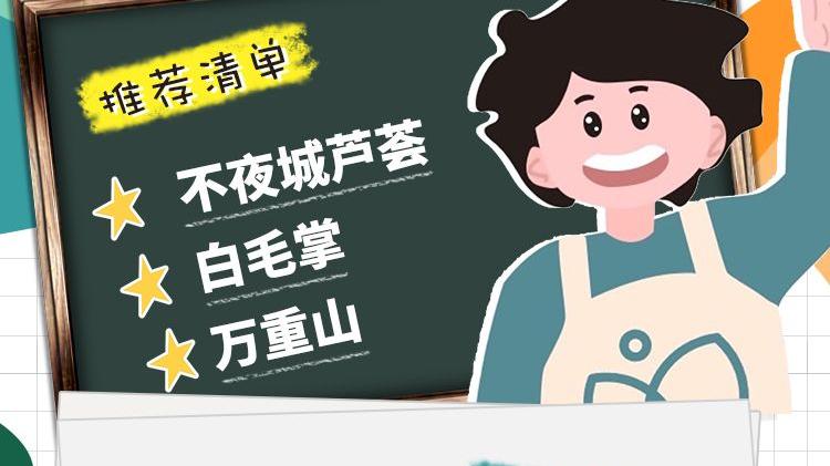 MINI迷你绿植控必备的桌面植物