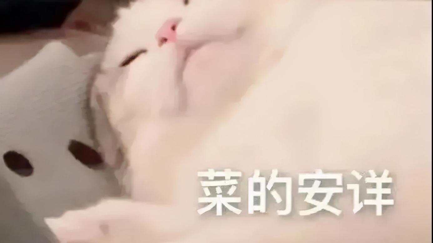 包子 2021年减肥失败报告，请查收