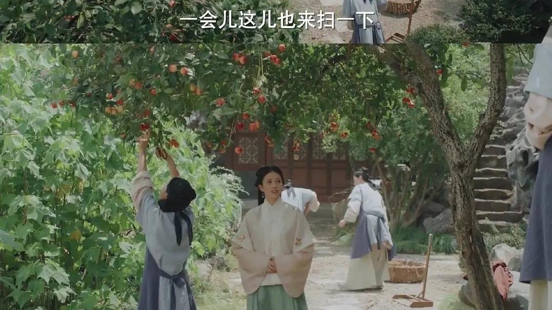 大叔论情感|《玉楼春》林少春才是常嬷嬷的亲闺女吧，小雅只是工具人