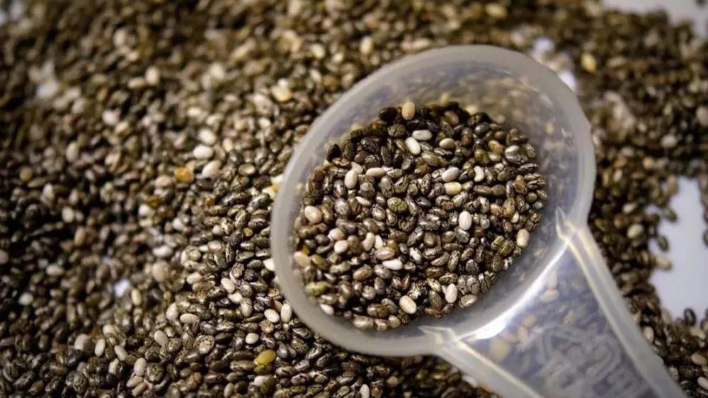 番茄|号称“全能粮食”，引进我国爆红，价格年年涨，又是炒作起来的？