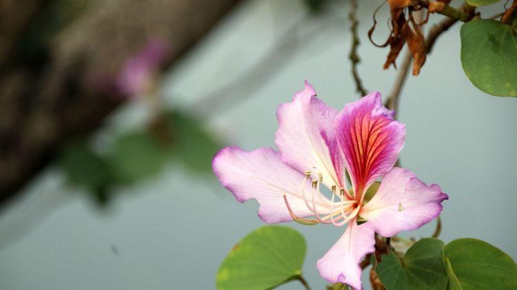 芨芨草001|爱干净的女人，为何会被丈夫离婚？