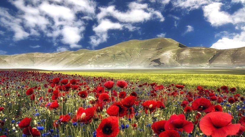 喵小喵情感故事会|表哥因为事业婚姻失败，姨妈又心疼继子，从17楼跳了下去！