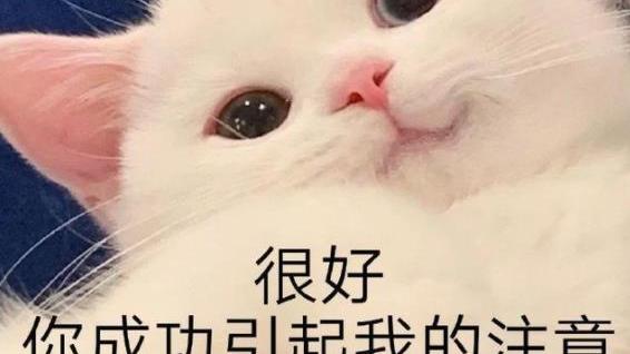 短发|为什么很多大牌护肤品都要求“建立皮肤耐受”？看完你就明白了